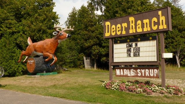 Deer-Ranch