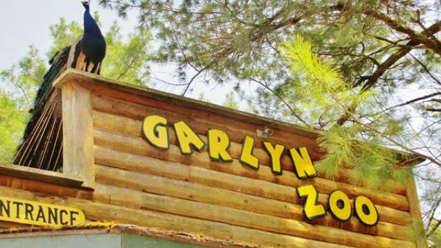 Garlyn Zoo