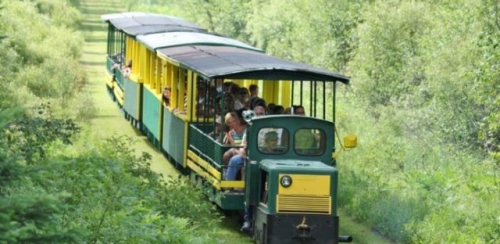toonerville trolley coupons