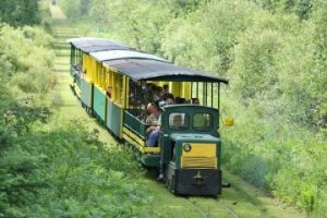 Tahquamenon Falls Riverboat Tours & The Famous Toonerville Trolley