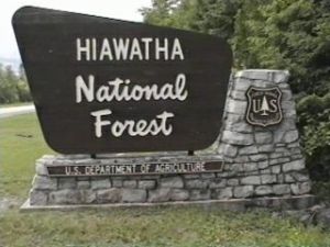 St. Ignace Hiawatha National Forest