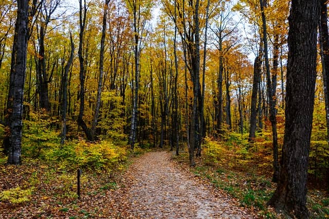 Best Places To See Fall Colors In The UP