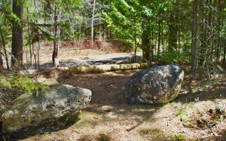 01 Foley Creek Day Use Area