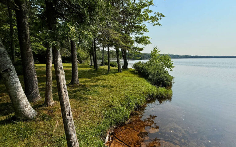 01 Little Brevoort Lake