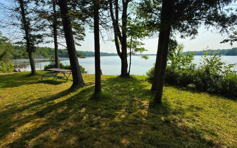 02 Little Brevoort Lake