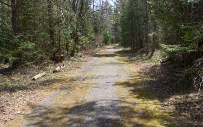 03 Foley Creek Day Use Area