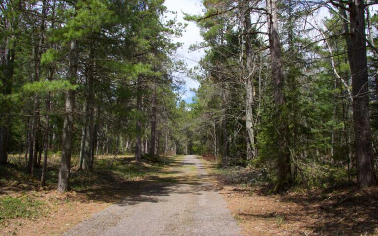 04 Foley Creek Day Use Area