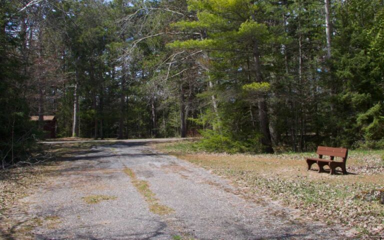 05 Foley Creek Day Use Area