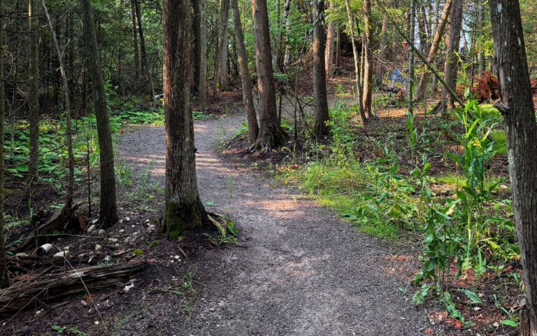 05 Mackingac Bridge Surveyors Overlook Trail