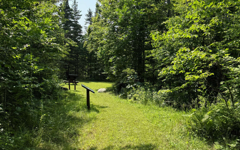 05 Sand Dunes Trail