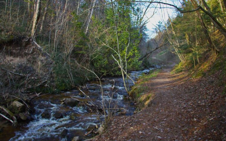 06 Cut River Roadside Park