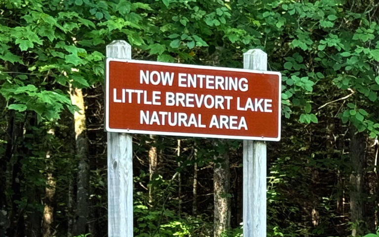 08 Little Brevoort Lake