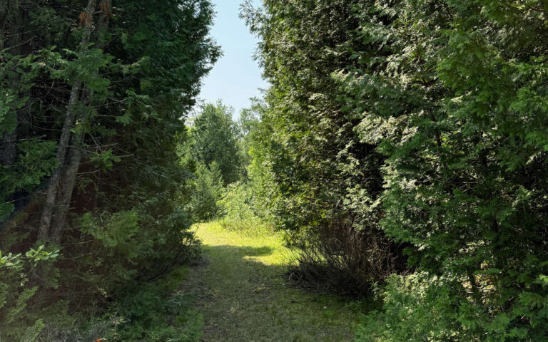 09 Sand Dunes Trail