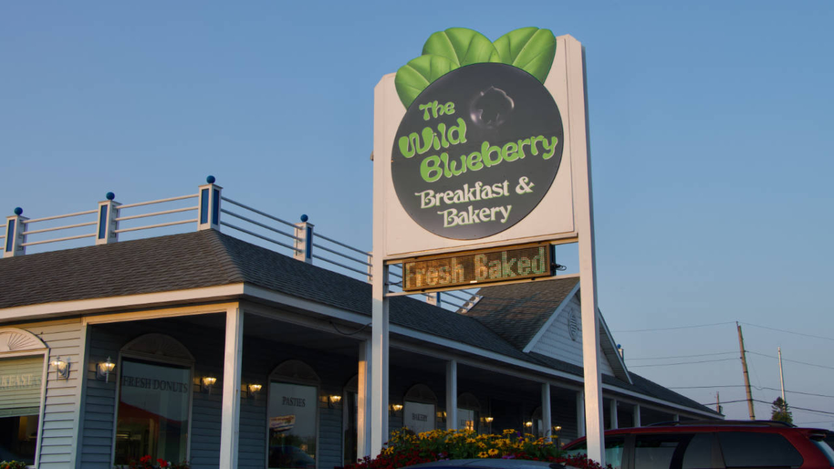 01 The Wild Blueberry