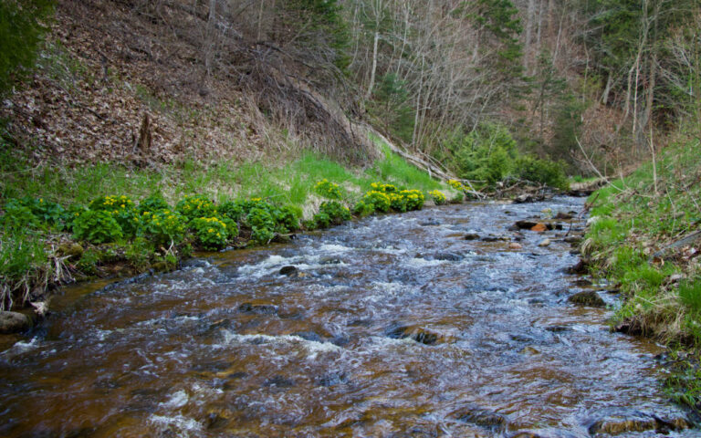 02 - Cut River Bridge Park