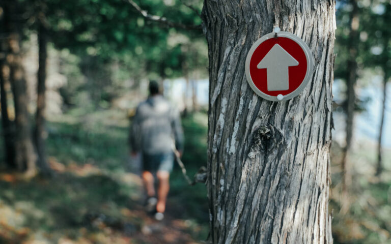 Hiking in Straits State Park