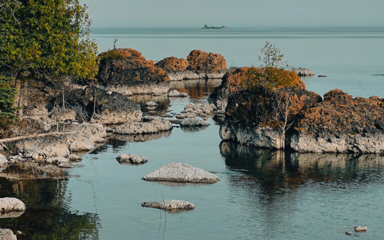 03 Bush Bay Trail