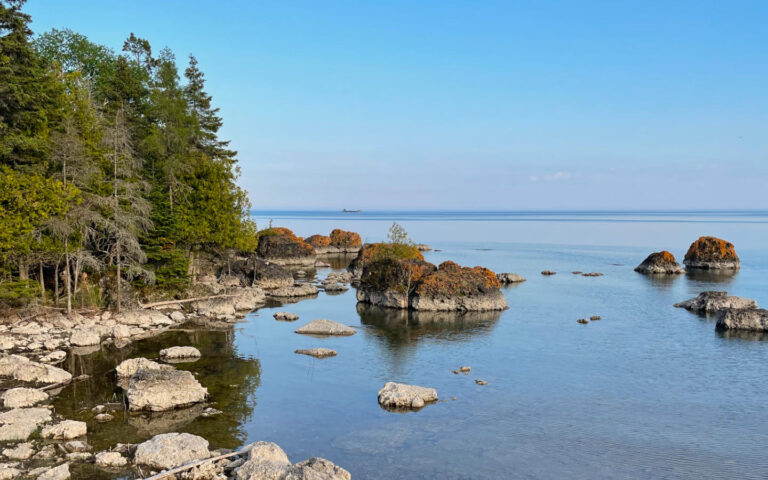 04 Bush Bay Trail