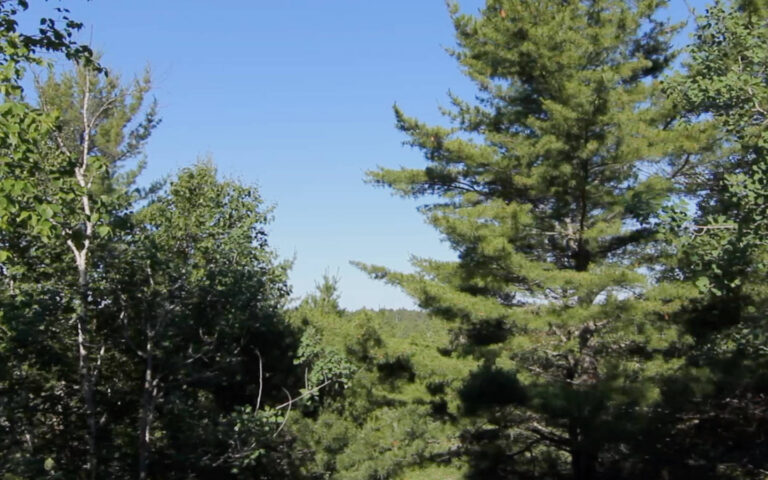 04 NCT Brevoort Lake to St. Ignace