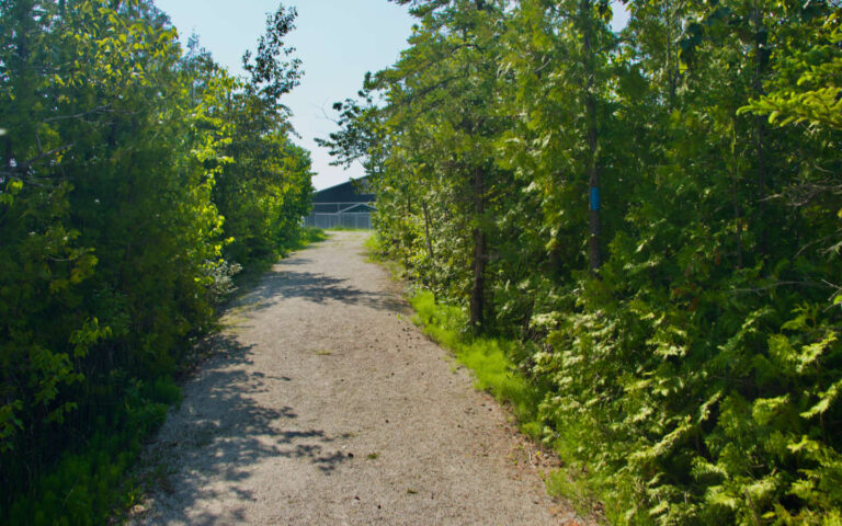 11 Little Bear Sports Park