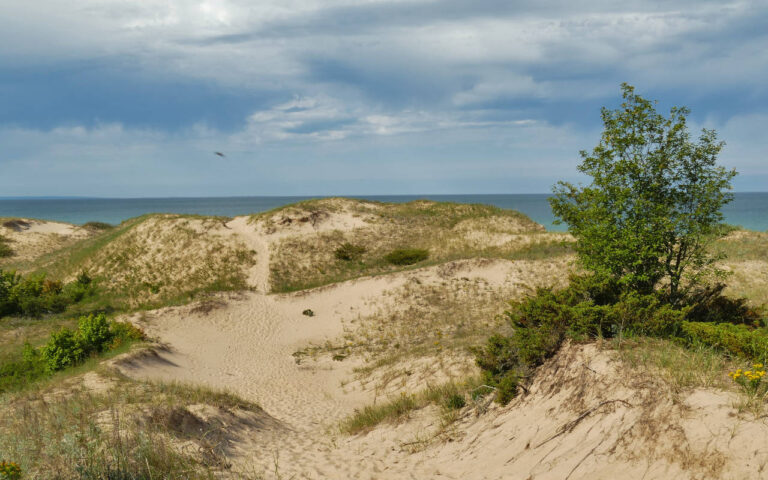02 Sand Dunes Beach